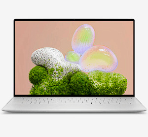 Notebooks Dell XPS